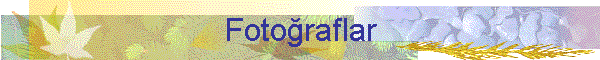 Fotoraflar