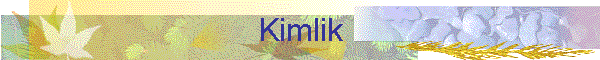 Kimlik